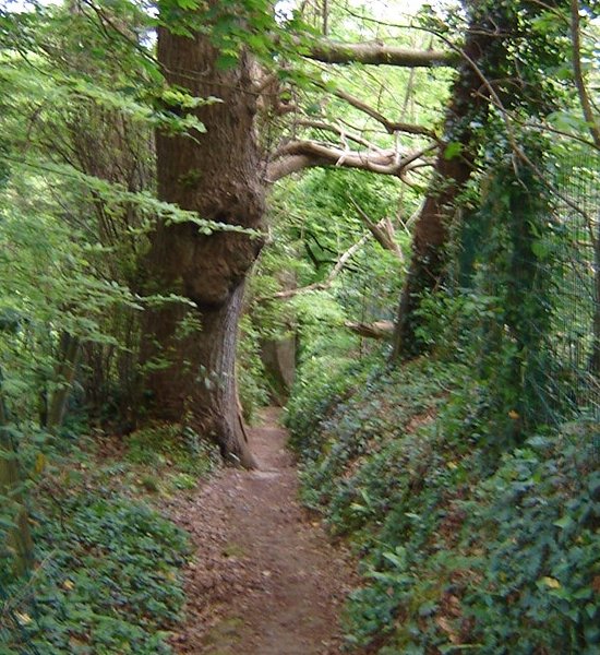 Balade contée de l'été