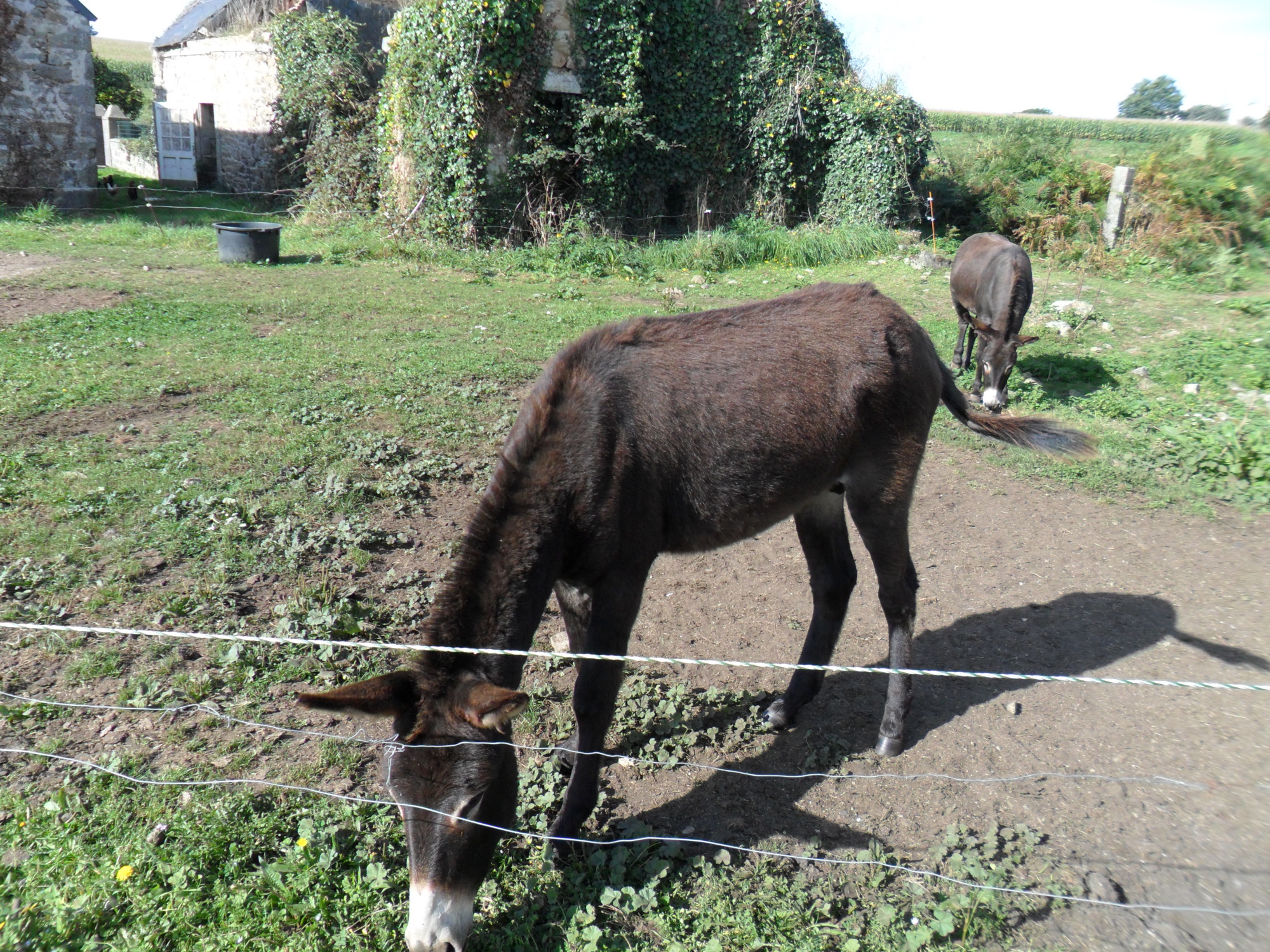 Contes à la ferme